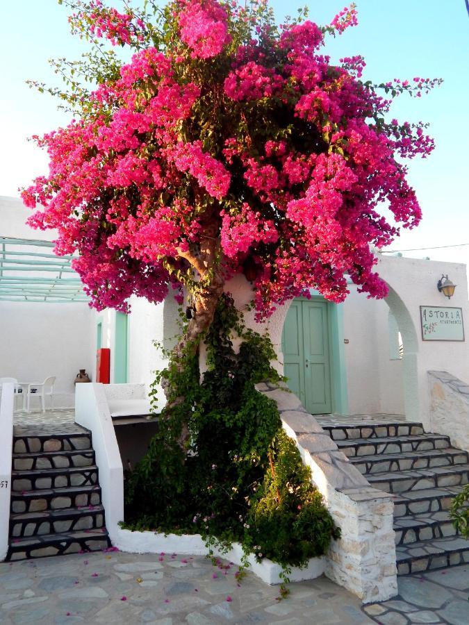 Astoria Paros Apartamento Naousa  Exterior foto