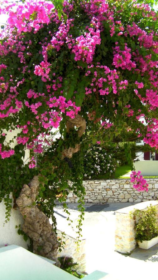 Astoria Paros Apartamento Naousa  Exterior foto